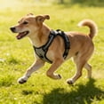 thumbnail image 1 of Pgyong Reflective Dog Vest Harness with Handle for Training Walking, No Pull Pet Harness Adjustable Breathable Mesh Control Harness for Medium Large Dogs, 1 of 6