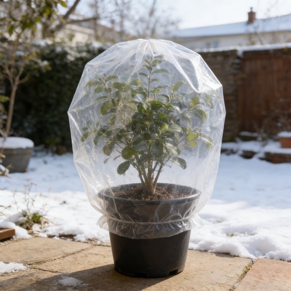 Pgyong Reusable Transparent Tree Frost Protection Cover for Winter - Plant Freeze Protection Bag, Large 94x82 Clear Plastic Cover for Shrubs, Potted Plants, Rose Bushes, Keeps Out Snow, Hail, Wind