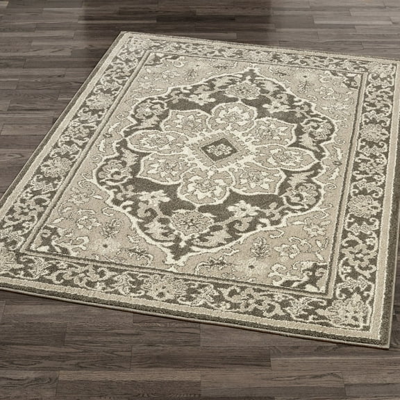 Phaedra Traditional Medallion Woven Area Rug Gray 46 x 65 Rectangle
