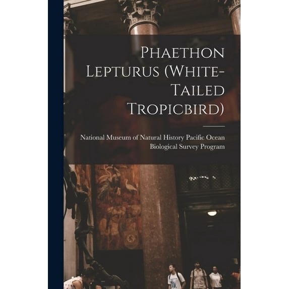 Phaethon Lepturus (white-tailed Tropicbird), (Paperback)