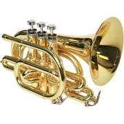 Phaeton PHTP-3000 Custom Series Bb Pocket Trumpet Gold Lacquer