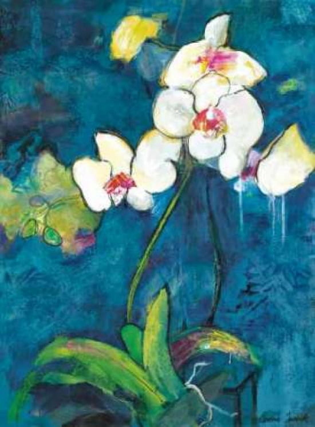 Phalaenopsis II Canvas Art - Connie Tunick (18 x 24)