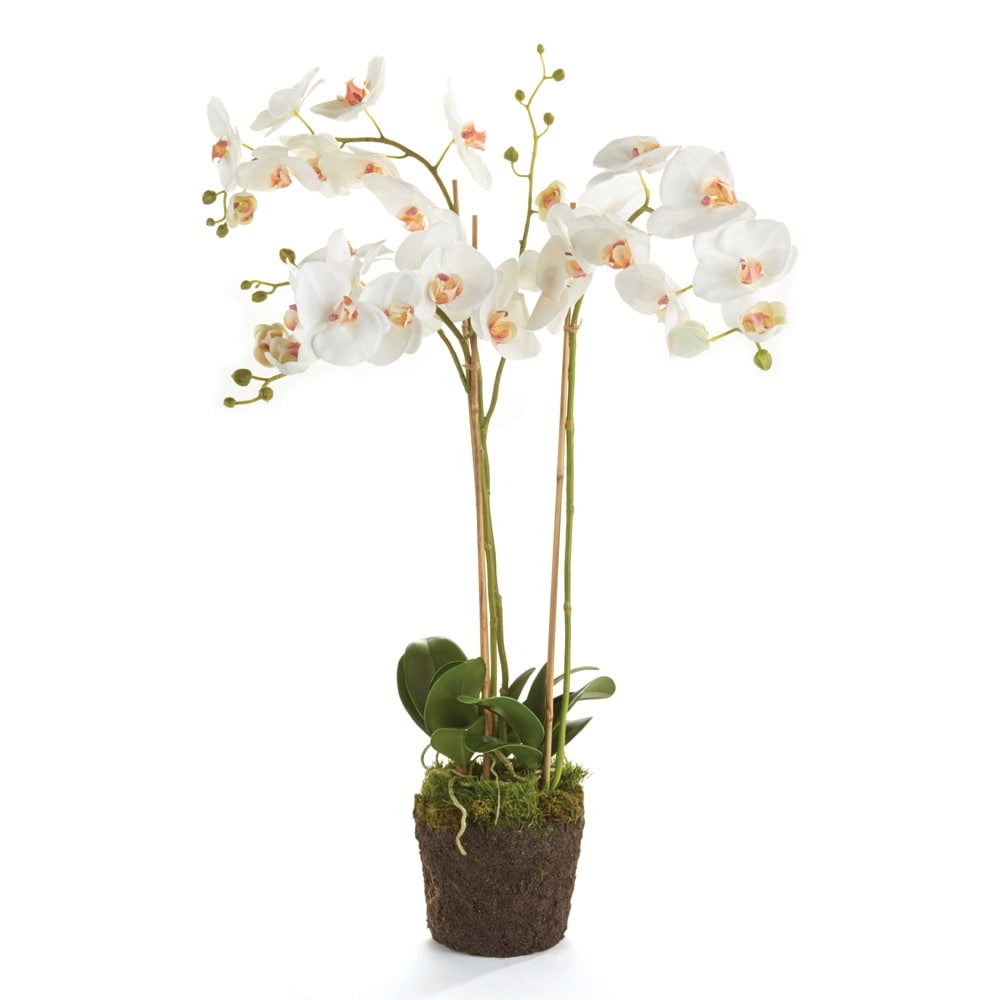 White Faux Phalaenopsis Orchid Potted Tabletop Decor, 31"