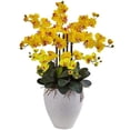 thumbnail image 1 of Phalaenopsis Orchid with White Planter, 1 of 1