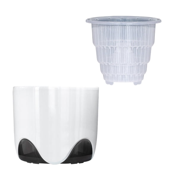 Phalaenopsis Orchids Planter Features Multiple Aeration Holes For Plant