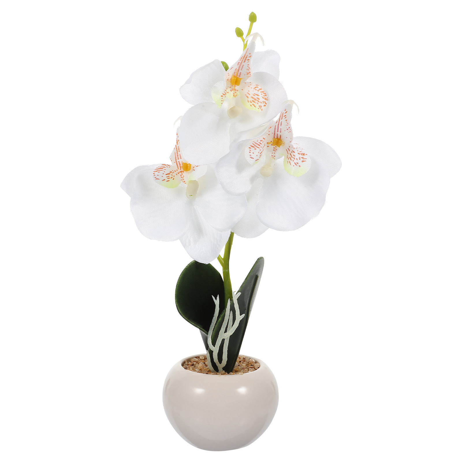 Phalaenopsis Potted Plant Bonsai Artificial Potted Plants False Potted