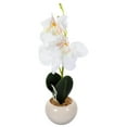 Phalaenopsis Potted Plant Bonsai Fake Potted Plants Faux Potted Plant