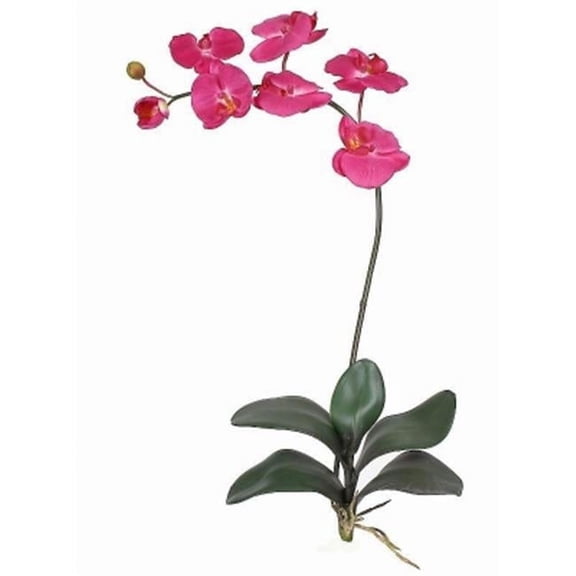 Phalaenopsis Silk Orchid Flower with Leaves 6 Stems - Beauty - 31 in