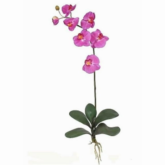 Phalaenopsis Silk Orchid Flower with Leaves 6 Stems