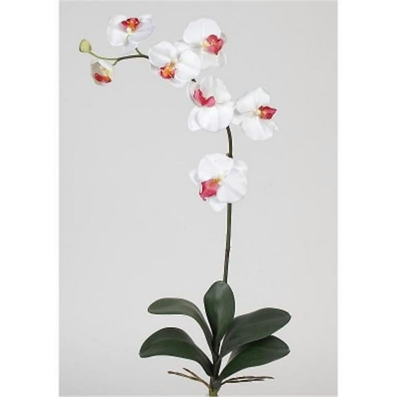 Phalaenopsis Silk Orchid Flower with Leaves 6 Stems