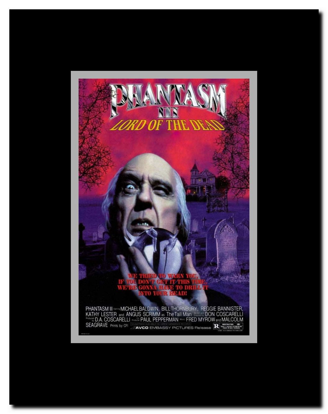 Phantasm 3 Framed Movie Poster