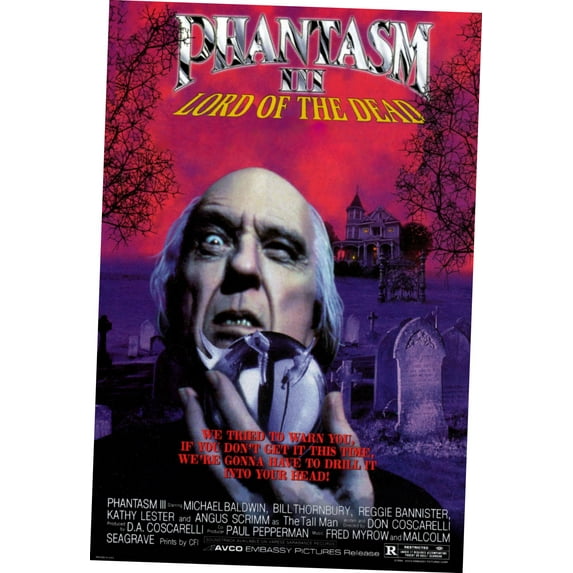 Phantasm 3 Movie poster Metal Print 12x16 Large Print on Metal 12x16 Square Adults Best Posters