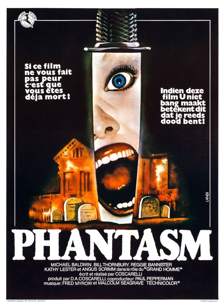 Phantasm Canvas Art - (11 x 17)