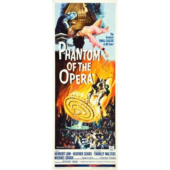 Phantom Of The Opera 14x36 Insert Movie Poster Unframed, Age: Adults Best Posters