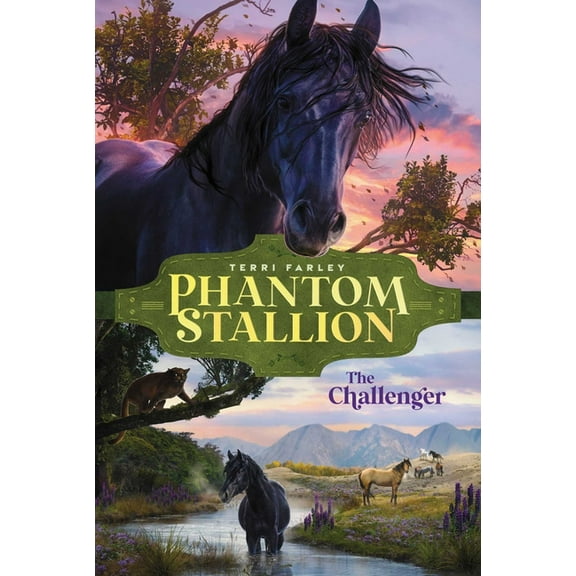 Phantom Stallion The Challenger, Book 6, (Paperback)