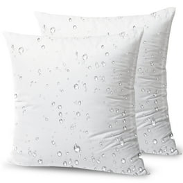 Pillow forms walmart sales