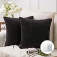 thumbnail image 1 of Phantoscope 20" x 20" Modern, Contemporary, Transitional Black Striped Polyester Throw Pillow , ( 2 Count), 1 of 6