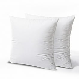 My Texas House 22 x 22 Microfiber Decorative Pillow Insert Walmart