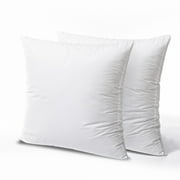 Phantoscope 20" x 20" Polyester Throw Pillow Insert, 2 Count