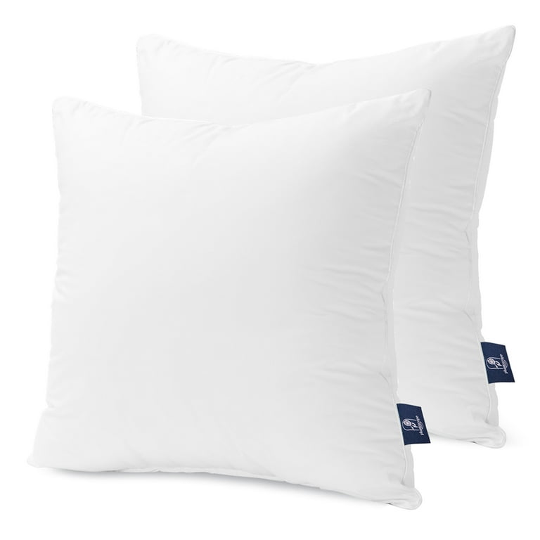  ACCENTHOME 20x20 Pillow Inserts (Pack of 2) Hypoallergenic  Throw Pillows Forms, White Square Throw Pillow Insert