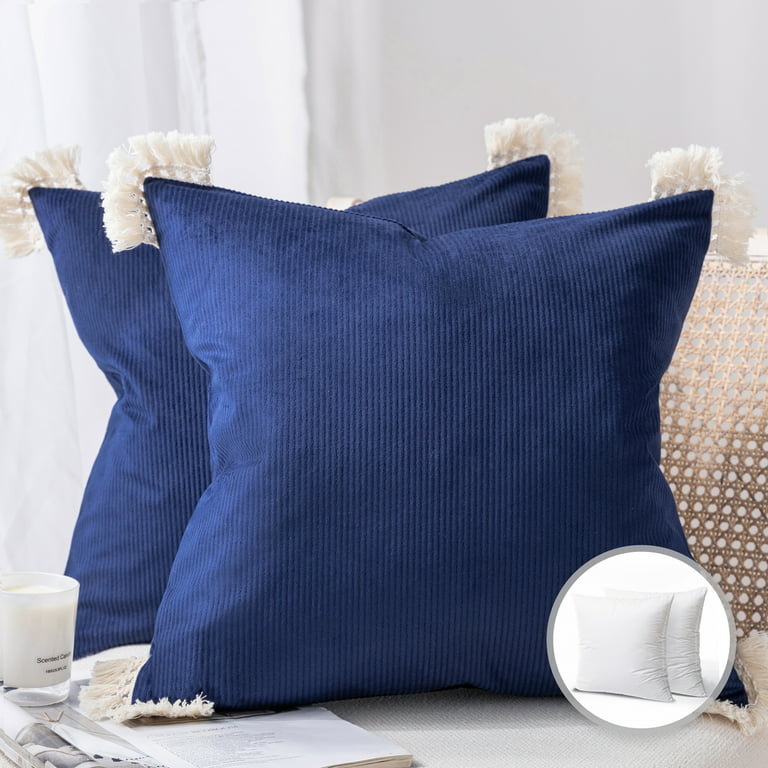 Phantoscope Christmas holiday Decorative Throw Pillow Set, Soft Corduroy  Velvet with Cotton Tassel Series Covers with inserts, 20 x 20, Navy, 2  Pack 