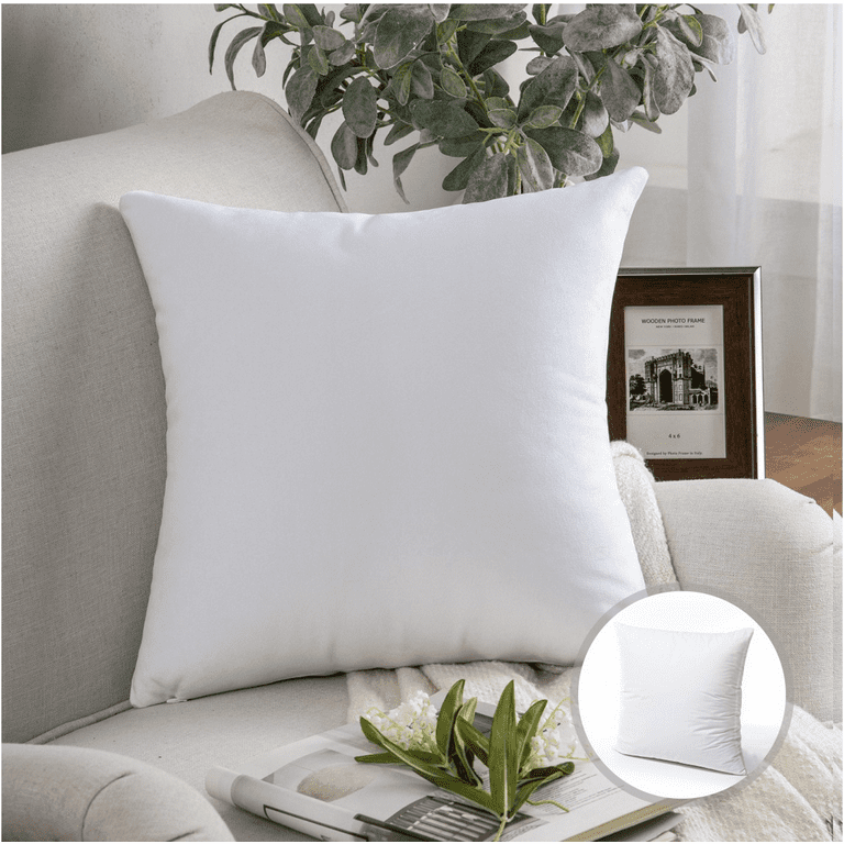 Phantoscope Christmas holiday Decorative Throw Pillow with insert, Silky  Velvet Series, 18 x 18, White, 1 Pack