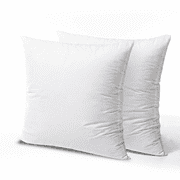 Phantoscope Hypoallergenic 18x18 Pillow Inserts 2 Pack, Supportive Square Cushion Pair for Chair Couch