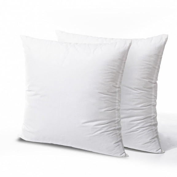 Phantoscope 22x22 Pillow Inserts, 2-Pack - Hypoallergenic Microfiber Square Pillow Forms for Couch & Bed - Decorative Throw Pillow Stuffers