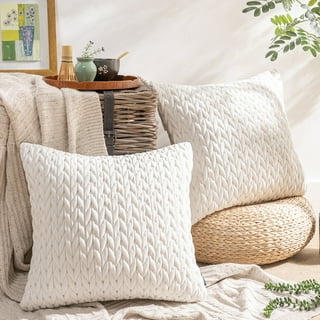 https://i5.walmartimages.com/seo/Phantoscope-Quilted-Velvet-Braid-Textured-Pleated-Decorative-Throw-Pillow-Covers-for-Couch-18-x-18-White-2-Pack_d169bd55-835f-4623-a924-aeaa71d3dbce.536b701fef0bc069bcec448cfc082e7d.jpeg?odnHeight=320&odnWidth=320&odnBg=FFFFFF