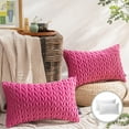 thumbnail image 1 of Phantoscope Quilted Velvet Braid Textured Pleated Square Decorative Throw Pillow Cusion for Couch, 12" x 20", Pink, 2 Pack, 1 of 6