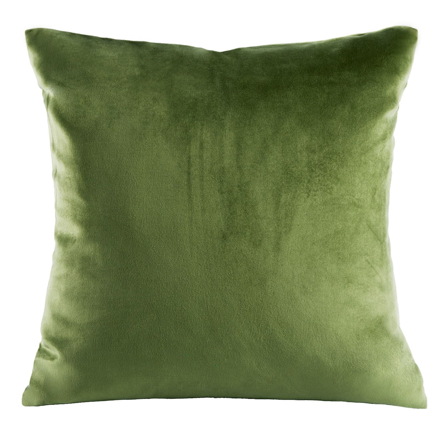 Phantoscope Silky Velvet Decorative Throw Pillow, 20 x 20 in, Light Green, 1 Pack