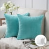 Size: 22" x 22", Actual Color: Aqua Blue