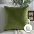 thumbnail image 1 of Phantoscope Soft Silky Velvet Series Decorative Throw Pillow, 20" x 20", Green, 1 Pack, 1 of 7