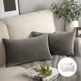 thumbnail image 1 of Phantoscope Soft Silky Velvet Series Square Decorative Throw Pillow Cusion for Couch, 12" x 20", Dark Gray, 2 Pack, 1 of 7