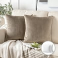thumbnail image 1 of Phantoscope Soft Silky Velvet Series Square Decorative Throw Pillow Cusion for Couch, 18" x 18", Light Coffee, 2 Pack, 1 of 7