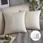 Phantoscope Soft Silky Velvet Series Square Decorative Throw Pillow Cusion for Couch, 18" x 18", Off White, 2 Pack