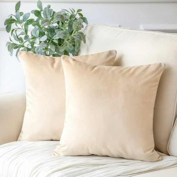 Phantoscope Soft Solid Square Velvet Decorative Throw Pillow Cover for Couch and Sofa, 18" x 18", Beige, 2 Pack