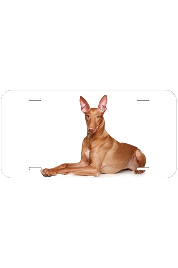 Pharaoh Dog Novelty Car Auto License Plate