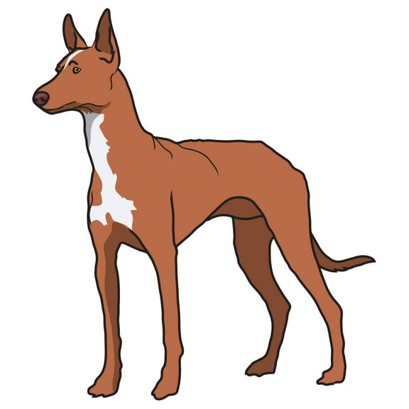 Pharaoh Hound Decal | Indoor/Outdoor | Dog Lover Super Cute Sticker for SUV Windows, Dorm Rooms, Bedroom, Offices | SignMission personalized gift | 12"