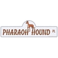 thumbnail image 1 of Pharaoh Hound Street Sign | Indoor/Outdoor | Dog Lover Funny Home Décor for Garages, Living Rooms, Bedroom, Offices | SignMission personalized gift | 36" Wide, 1 of 5