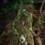 Pharmakon - Maggot Mass - Music & Performance - Vinyl
