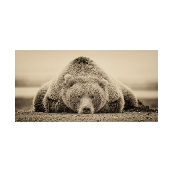 Trademark Fine Art Phburchett Deep Sleep Canvas Wall Art - 16x32