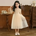 thumbnail image 1 of Fourth of July Dresses for Girls 4-6 Years Old Kids Toddler Girl Spring Fall Clothes Long Sleeve Tutu Dress Princess Dress, 1 of 6