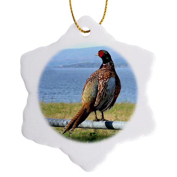 3drose, Pheasant, 3 inch Snowflake Porcelain Ornament