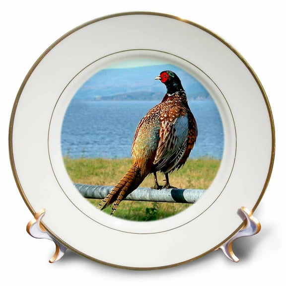 3dRose, Pheasant, 8 inch Porcelain Plate