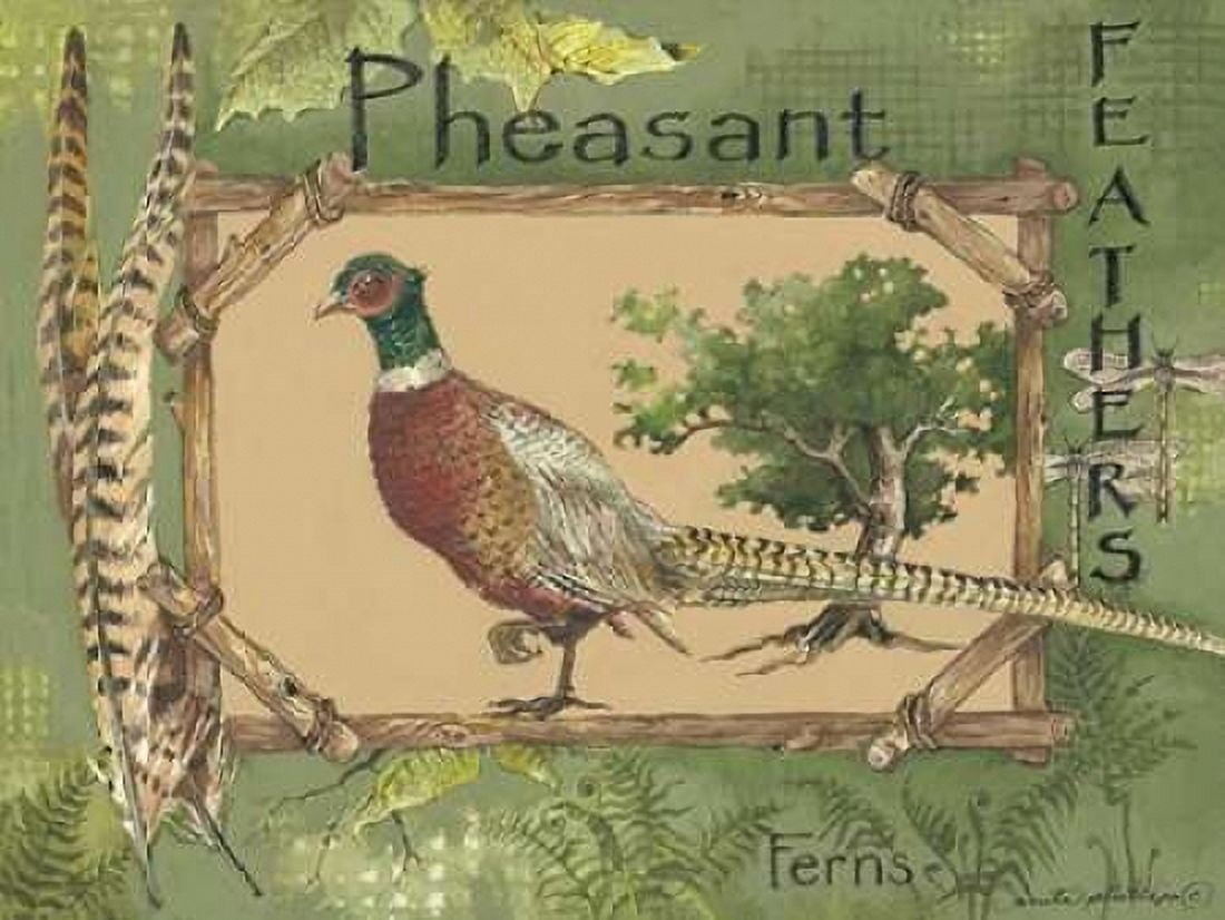 Pheasant Canvas Art - Anita Phillips (18 x 24)