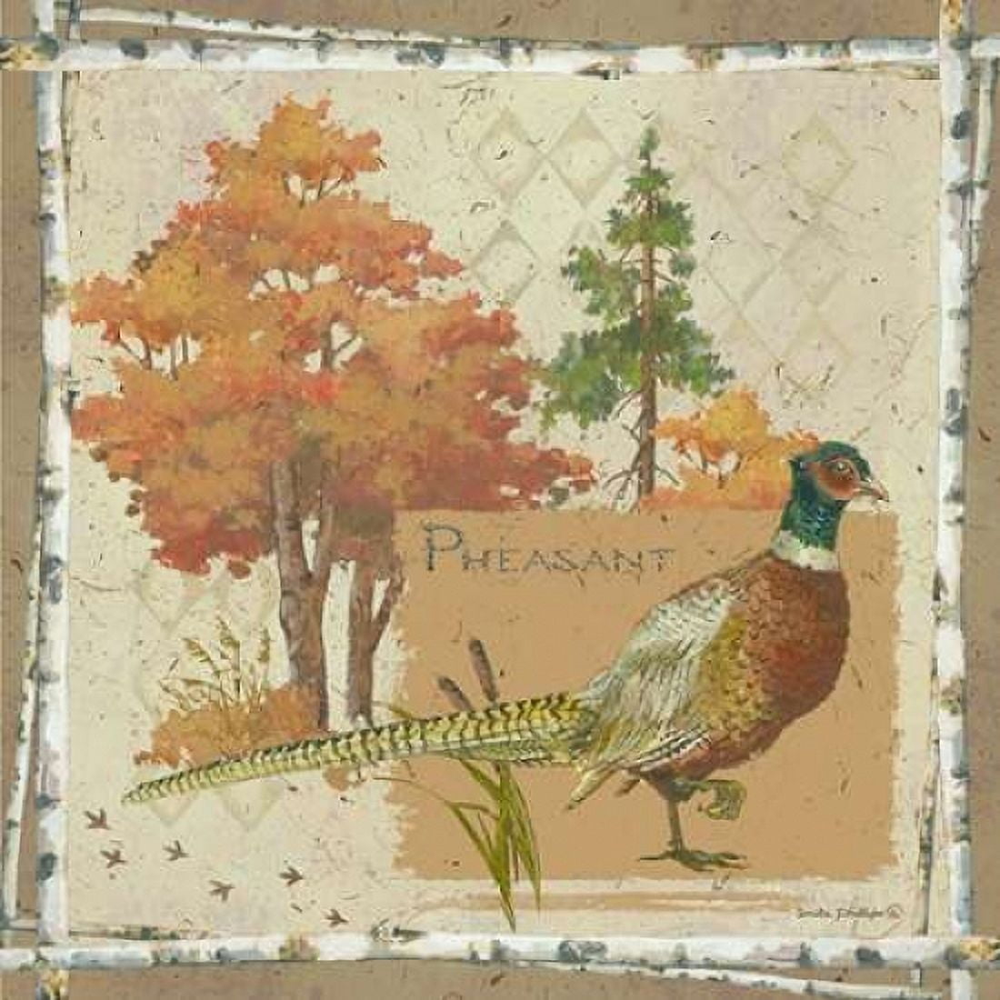 Pheasant Canvas Art - Anita Phillips (24 x 24)