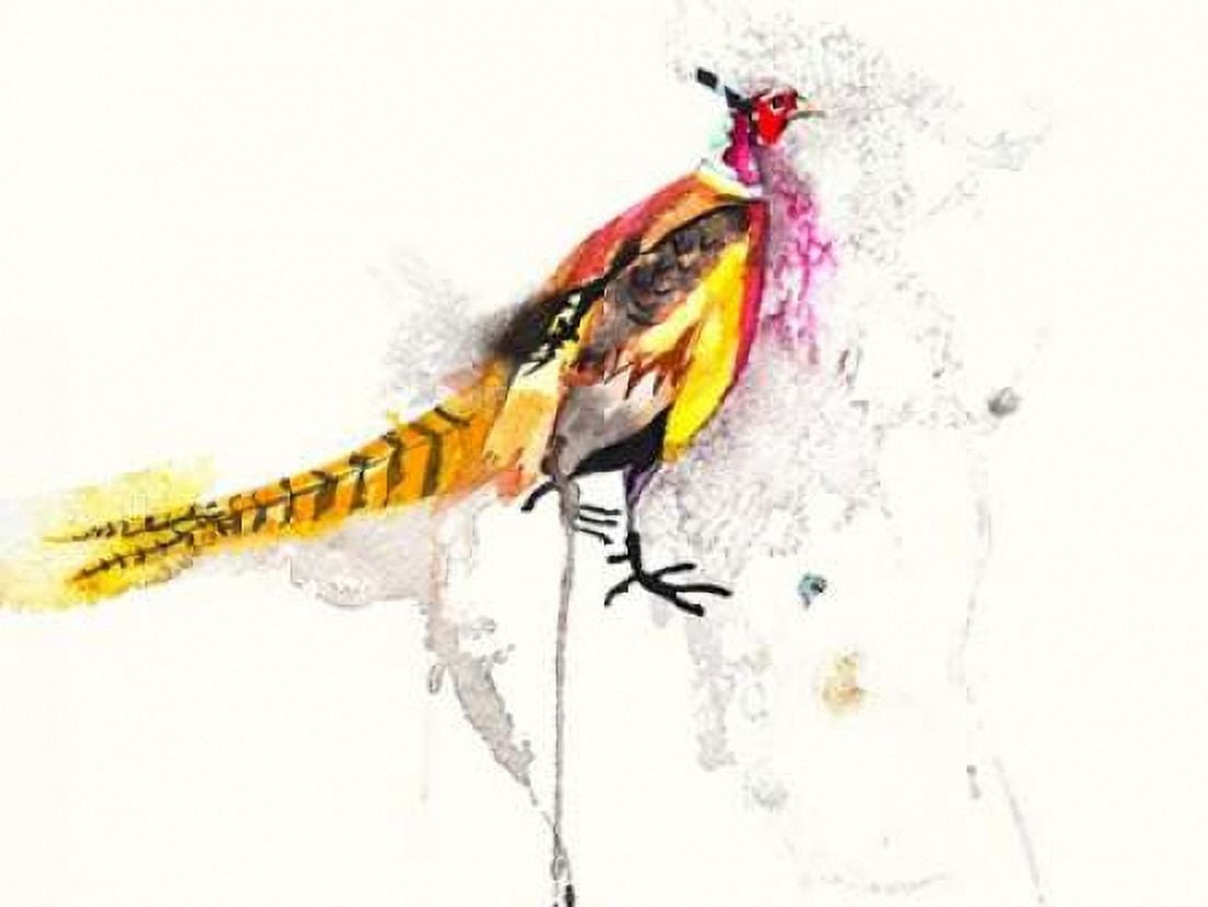 Pheasant Canvas Art - Karin Johannesson (18 x 24)