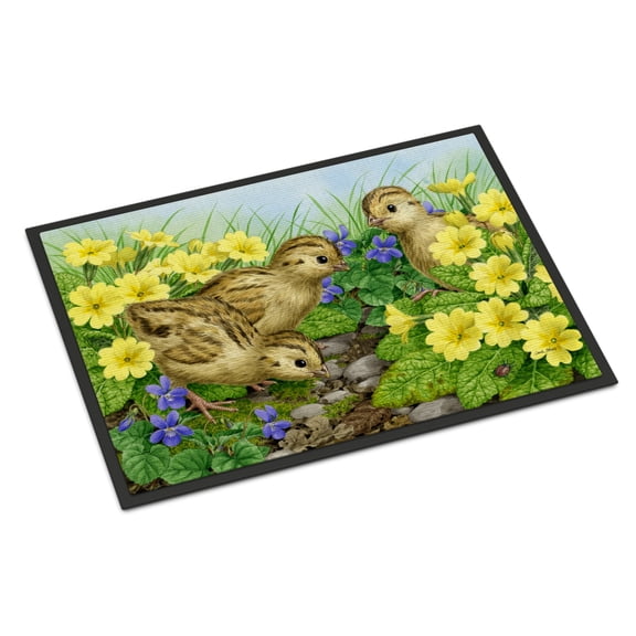 Pheasant Chicks Door Mat