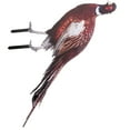 thumbnail image 1 of Pheasant Garden Decoration Emblems Garden Pheasant Insert Decor Lawn Ornaments Lawn Ornament Yard Ornament Garden Stake, 1 of 6